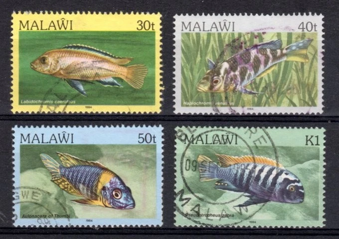 QE11 MALAWI TROPICAL FISH SG. 696, 697, 698 & 700 ALL VERY FINE USED - Image 1 of 1