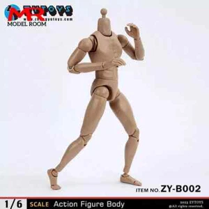 1/6 ZYTOYS ZY-B001 Male Amateur Narrow Shoulder Wheat Skin Color Action Figure - Picture 1 of 3