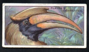 THE HOMRAL 1929 JOHN PLAYER CIGARETTES CURIOUS BEAKS #21 VG  - Picture 1 of 2