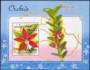 Afghanistan 1999 Orchids/Flowers/Plants/Nature 1v m/s (s4606) - Picture 1 of 1