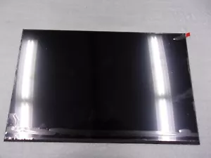 N10910-001 16.0 RAW PANEL WUXGA AG 400 UWVA **NOT IN MANUFACTURER BOX** - Picture 1 of 3
