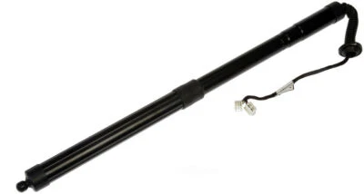 Puerta levadiza pestillo liberación motor motor Dorman 747-052 se adapta a Honda Pilot 16-17 Foto 1 de 4