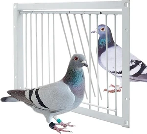Puerta de jaula para palomas de 11,8"/30 cm puerta de entrada unidireccional para pájaros trampa en T jaula para pájaros hierro NUEVO - Imagen 1 de 4