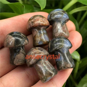 5pcs Natural Rhyolite Mushroom Pendant Quartz Crystal 1'' Reiki Gem Healing - Picture 1 of 11