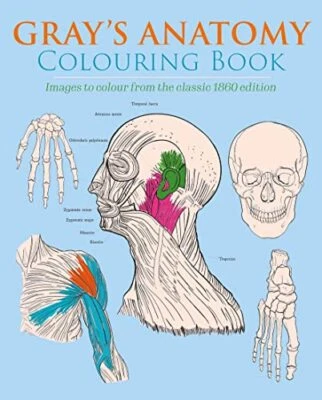 Gray's Anatomy Colouring Book Images to Colour from the Classic 1860 Edition ... - Image 1 of 4
