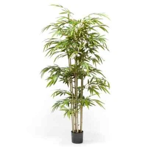 Bambú Artificial 150 cm Decoración Maceta Hogar Flores Secas Casa Sala Emerald - Imagen 1 de 2