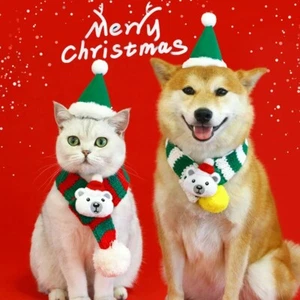 Mascota Navidad Bufanda a Rayas Rojo y Verde Lana Tejido Gato y Cachorro Cuello Cálido - Imagen 1 de 31