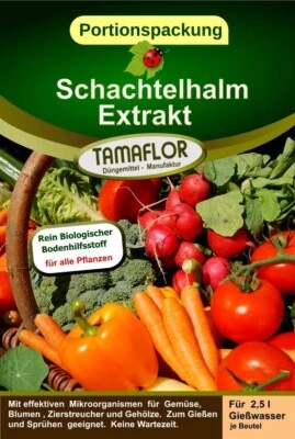 TAMAFLOR Schachtelhalm Extrakt Konzentrat, 4 Portionsbeuteln für 10 Liter