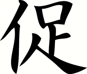 Accelerate Kanji Vinyl Sticker Decal JDM Drift Race - Choose Size & Color - Picture 1 of 2