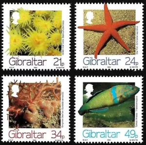 Gibraltar 1994 Ocean, Marine Life, Fish, Molluscs, Set of 4, UNM /MNH - Picture 1 of 1