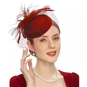 Fascinators Hat Women Wedding Cocktail Tea Party Hair Clip Headwear Mesh Decor - Picture 1 of 20