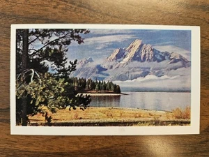 Grand Teton National Park Wyoming Jackson Mt Moran VTG Postcard American Oil '69 - Picture 1 of 2