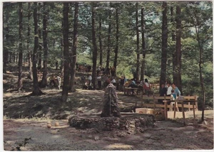 ACQUA DEL FAGGIO - BELLA - POTENZA - SCORCIO - PANORAMA - VIAGG. 1973 -10969- - Picture 1 of 1