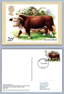 Hereford Bull / Cattle - 1984 PHQ #73c FDI Used Card - Picture 1 of 1