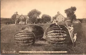 Tarjeta postal tallada sandías en Oklahoma exageración tipo alber sin publicar - Imagen 1 de 3