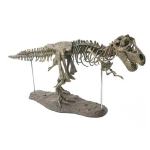 T Rex Tyrannosaurus Rex Skelett Dinosaurier Tiersammler Dekor Modell Spielze❃ - Bild 1 von 8