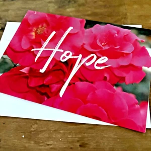 Hope Ross Blumen Familie & Freundschaft Nachricht leere Grußkarte mit Umschlag - Bild 1 von 4