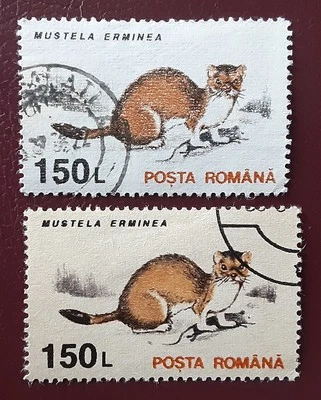 ROMANIA 1993 150L Used Paper & WM Variety Stoat Mustela Mi 4909Y 4909X XF 8011 - Image 1 of 2
