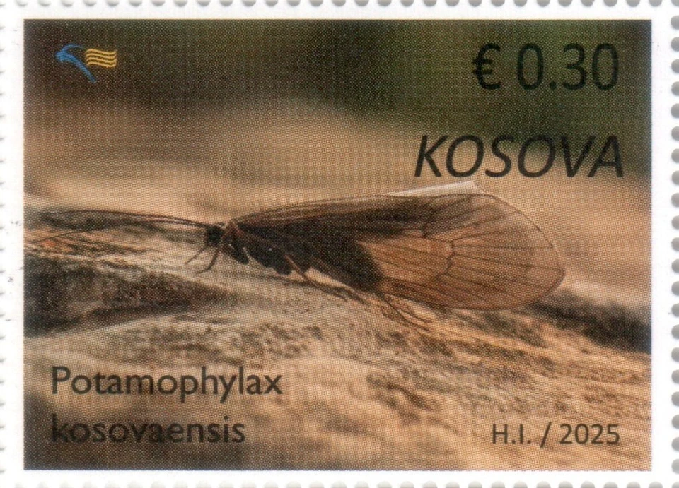 Estampillas de Kosovo 2025. Fauna endémica: Potamophylax kosovaensis. Definitive MNH Foto 1 de 1