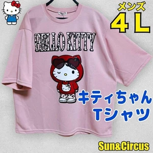 Camiseta Sanrio Kitty Grande 4L Logo Leopardo Con Capucha Oferta de Verano - Imagen 1 de 10