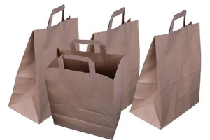 LARGE KRAFT PAPER CARRIER SOS BAGS 10x5.5x12.5" BROWN TAKEAWAY FOOD PARTIES - Picture 1 of 5