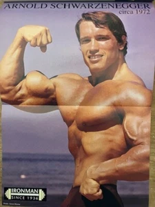 Arnold Schwarzenegger Poster & IronMan Magazine December 1993 - Like New - Picture 1 of 4