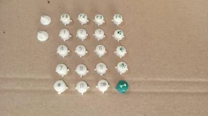 Teclado Siedle T 611-10 W números de teléfono teléfono teléfono de sistema T611-10 nacido - Imagen 1 de 1