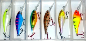 Berkley #5 Flicker Shad Crankbait Paket (6-Exclusive Color Pro Pack-FL56-08) - Bild 1 von 1