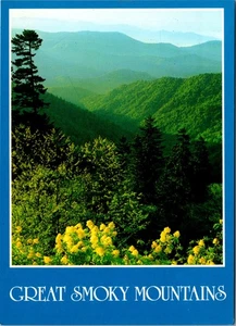 Great Smoky Mountains National Park TENNESSEE Vintage Unposted Postcard - Picture 1 of 2