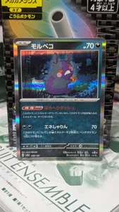 Pokemon Juego de Cartas Coleccionables Morpeko - Antiguo Rugido SV4K 051/066 Holo Raro Japonés - Imagen 1 de 6