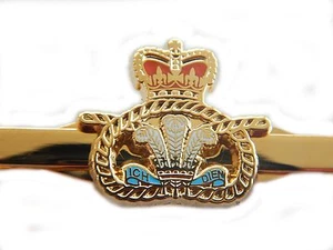 Staffordshire Regiment Militär Krawattenklammer Schiebestange Pin - Bild 1 von 1