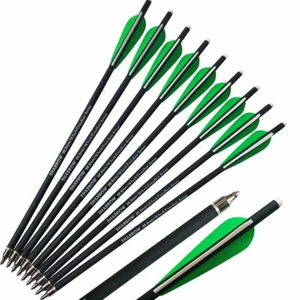 12x Armbrustpfeile 16" 17" 18" 20" 21 22Zoll Carbonpfeile Bolzen Mini Bogen Jagd - Picture 1 of 17