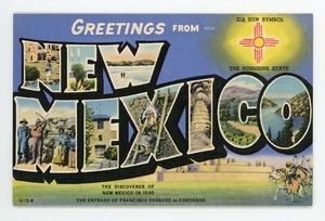 Greetings From New Mexico Color Linen Postcard - Imagen 1 de 2