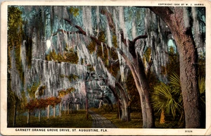 Garnett Orange Grove DR St Augustine FL POSTCARD 1935 Cletus Horning - Picture 1 of 2