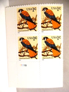 SCOTT STAMP # 3031 AMERICAN KESTREL 1 CENT PLATE BLOCK - 1999 - MNH - Picture 1 of 1