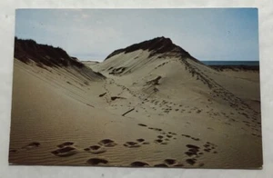 Sand Dunes Of Cape Cod, Mass. Postcard (X1) - Picture 1 of 2