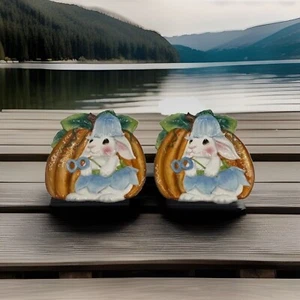 Set of 2 Fitz And Floyd Essentials Halloween Bunny Blooms Plates No Damage - Picture 1 of 5