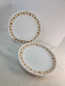 Corelle Butterfly Gold Set Of 8 Dinner Plates 10 1/4" Excellent Condition - Picture 1 of 5
