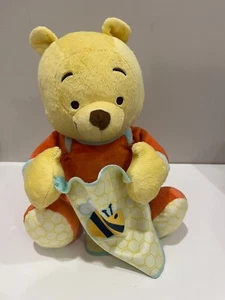 Winnie The Pooh Plush Disney Baby W/ Blanket Playing Peek A Boo - Talks- Works - Picture 1 of 3