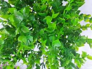 Joblot of 50 pcs artificial leaf 7 branch eucalyptus new wholesale - Picture 1 of 11