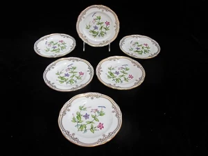 SPODE Stafford Flowers TACHIADENUS Bone China BREAD & BUTTER Plate Set of 6 - Picture 1 of 6