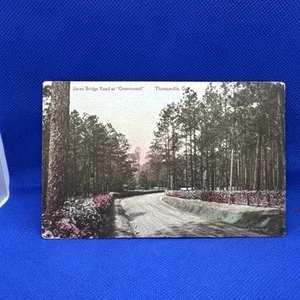 Hand colored postcard Thomasville GA Jones Bridge Road at “Greenwood” - Picture 1 of 5