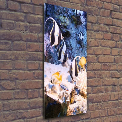 Wandbild Kunst-Druck auf Hart-Glas hochkant 50x125 Korallenriff - Bild 1 von 4
