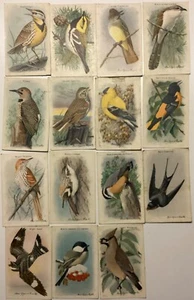 Útil Juego de Cartas Coleccionables Birds of North America Serie 10 Iglesia Dwight Arte BUENO - Imagen 1 de 3