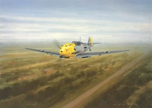 Knight of the Sky by Gerald Coulson aviation art signed by Luftwaffe Bf109 Aces - Picture 1 of 2