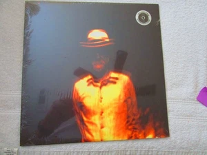 CHASING AWAY THE DOTS Vinyl LP by Mike Coykendall (2012, Fluff & Gravy Records) - Imagen 1 de 3