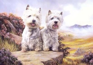 WEST HIGHLAND WHITE TERRIER WESTIE DOG GREETINGS NOTE CARD TWO DOGS ON ROCK - Picture 1 of 1
