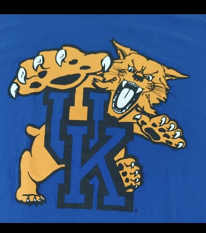 University of Kentucky Wildcats 3x5 ft Flag Banner UK Free Shipping USA Seller Cover