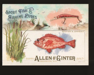 2017 Topps Allen & Ginter Sport Fish & Fishing Lures #SFL-10 - Redfish  17-981 - Picture 1 of 2