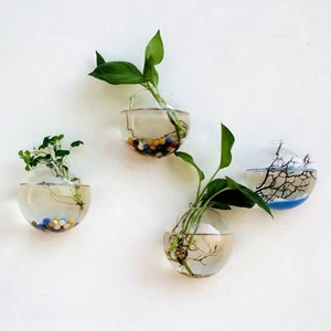 10cm Wall Hanging Flower Pot Hydroponic Plant Bottles Glass Flower Vase - Picture 1 of 9